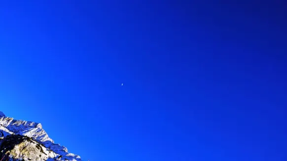 Casino Bet Rocker Tugi